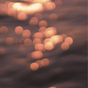 欧美丰满熟妇另类XXX000
