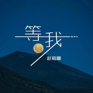 欧美丰满熟妇另类XXX000
