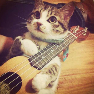 欧美丰满熟妇另类XXX000
